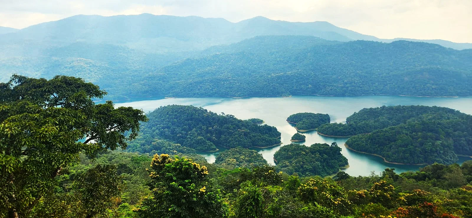 Rosemala & Palaruvi Nature Escape